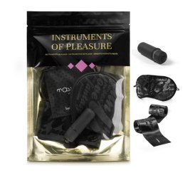 Zestaw akcesoriów - Bijoux Indiscrets Instruments of Pleasure Purple